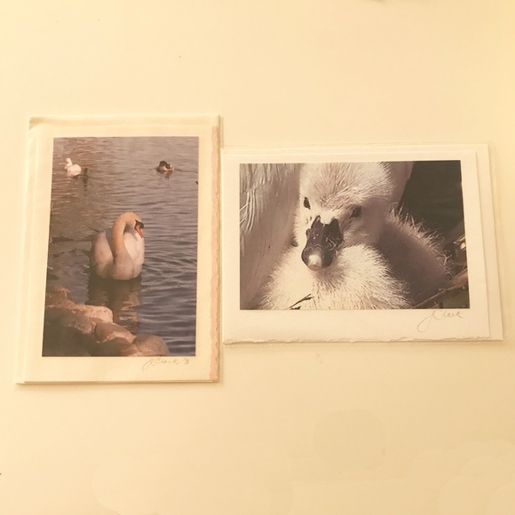 PHOTO GREETING CARDS - Picture 5 of 7